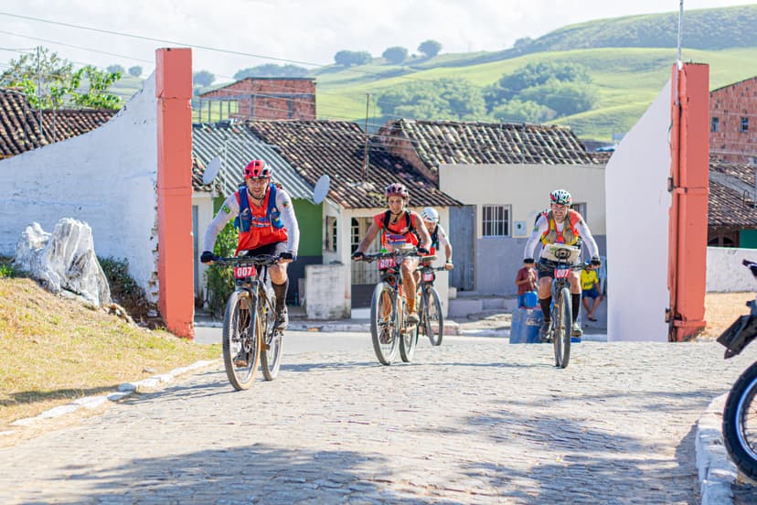 Imagem da galeria 2-9