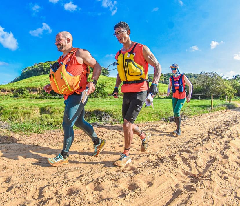 Imagem da galeria 3-10